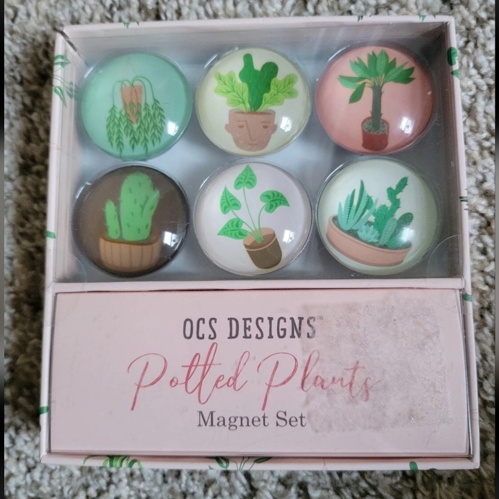 OCS Designs Potted Plants Magnet Set 6 Piece Set Green, Brown, Pink New